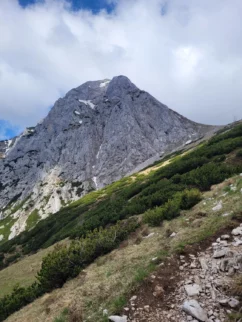 Prvi pogled na najino smer