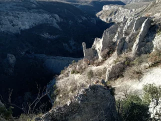 Sej bo šlo,