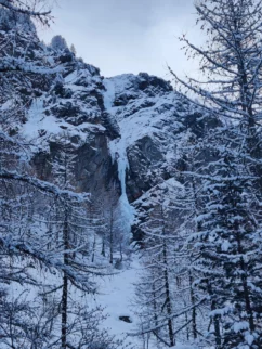 Hard Ice direct WI6