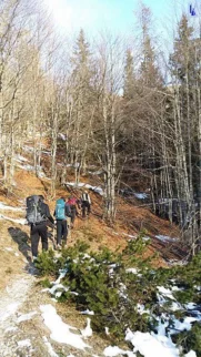 Iskali smo sneg...več snega kot ga je na sliki, zato smo kar pridno šli naprej