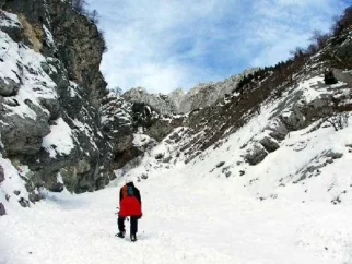 V grabnu.
