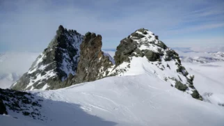 Pogled nazaj
