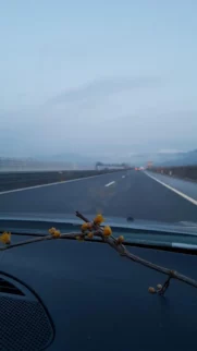 Ambient na poti (v Petijevem vagonu)