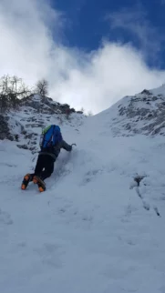 Za dušo smo posekal en periferni, 4-metrski skokec... k drugač je pa sam štamfanje...