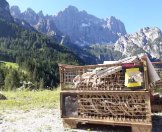 Base camp Civetto