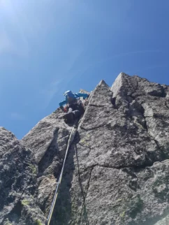 Jero se kobaca na nazobčan del grebena