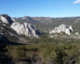 Rujićin in še kaj