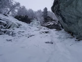 In še izstopni cug (gre v desno po rampici na svečo)