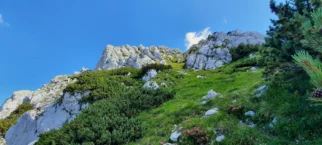 Vršni del Srebrnjaka