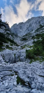 Po dveh urah prečanja po strmem terenu, čez več grabnov, uočiva najino steno in smer