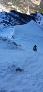 Dile počakajo na vstopu in popikava do prvega štanta na levi