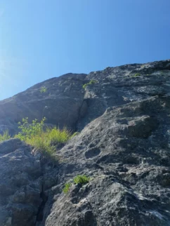 (Detajl smeri) Omenjen švoh klin, je v poki v previsu