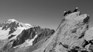 3. mesto - Aiguille du Moine, Chamonix - Miha Habjan