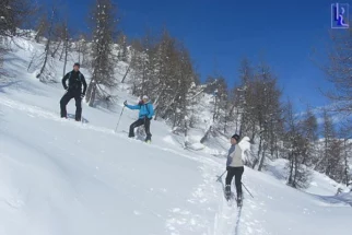 Mrežce