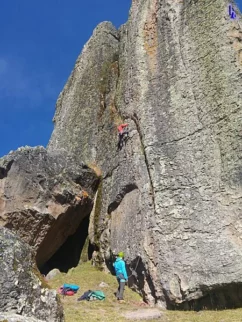 Peru report