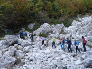 Četica mašira prori koči Brunner