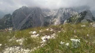 Pogled proti Visoki Beli špici