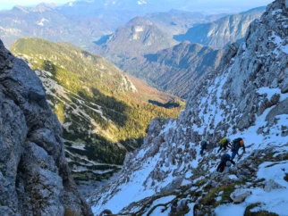 Dereze in cepine ja