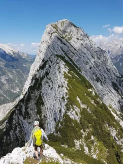 Trentski pelc. Nikoli več ne grem v kratkih hlačah v rušje...