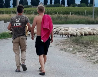 Sanje, jest, Bosna, ovce in Keko, jebeš keš!!! Prej bom umru, ku kej zaslužu!