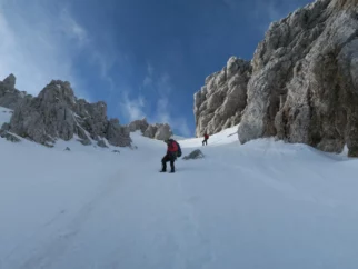 Še pogled navzgor