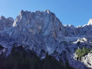 Jutranji pogled na lepotico