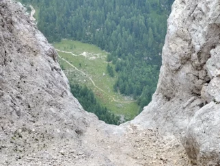 na vrhu zavidava kravam, ki so tako blizu našega avta