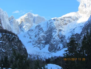 Jalovški ozebnik