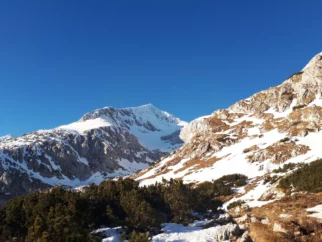 Pogled nazaj