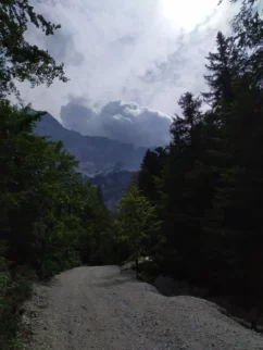 Pri avtu ob 14h