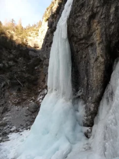 Srednja varianta