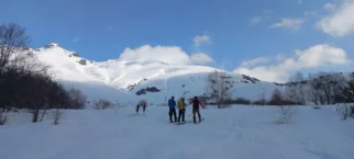 Tsirniari