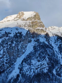 Zauberflote in La Piera