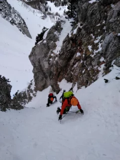 Vstop v drugo grapo - Lenuhova
