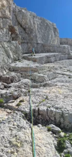 zagiftomanija02