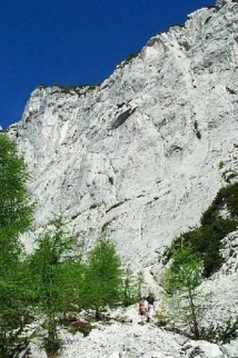 ostenje Rušice
