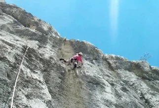 hja, eni pač znajo, kaj češrn