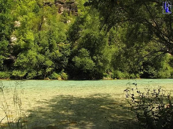 Sva že v Bovec republiki