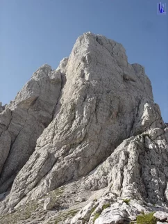 Medtem ko eni uživajo...