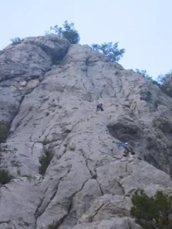 Velesa in Tadej napadata Danajo!