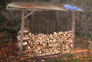 drvarnica se hitro polni