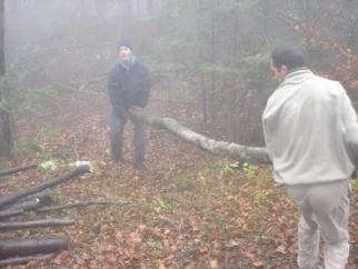 vedno večji in daljši