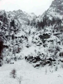 Bosova grapa.