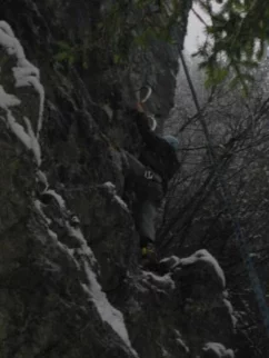 Mau že šuta