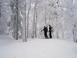 orjentiramo se bolj po občutku