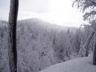 področje Šavkovca, edini orjentir