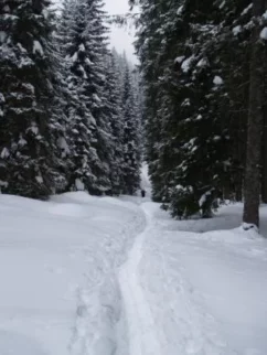 Ozka gas je bila speljana do koče na Lipanci, naprej pa nič.rn