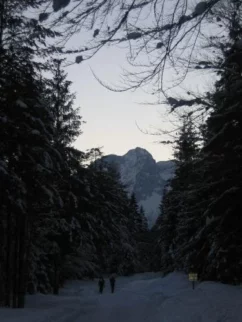 Kmalu se nam v daljavi (okrog 9 km) prikaže Stenar s svojo pozimi zelo zanimivo vzhodno steno.