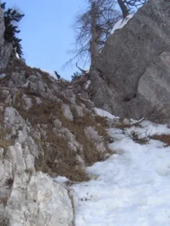 Na zaključku pa travice in pomrznjena zemlja. Cepini prijemljejo odlično!