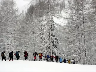 Naslednji dan jo v stilu delovnih brigad mahnemo proti Savinjskemu sedlu.